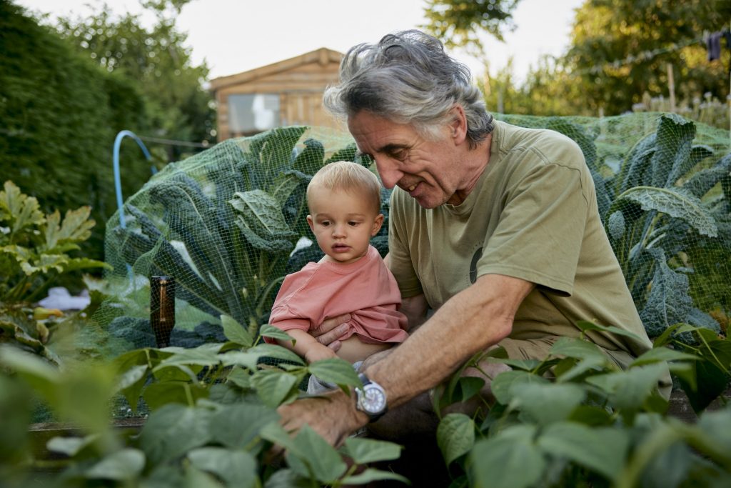 How to Grow Your Fruits, Vegetables, and Herbs in Your Garden for Fresh and Organic Produce